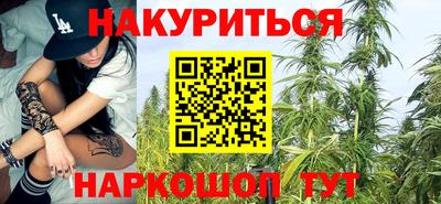 сатива Коммунар