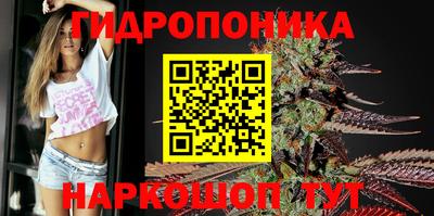 сатива Комсомольск-на-Амуре