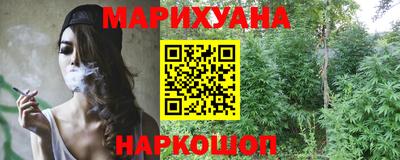 сатива Коммунар