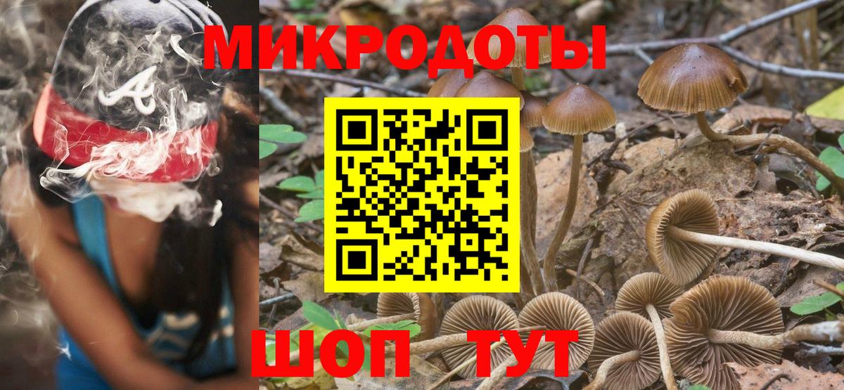 Псилоцибиновые грибы Psilocybine cubensis Котовск