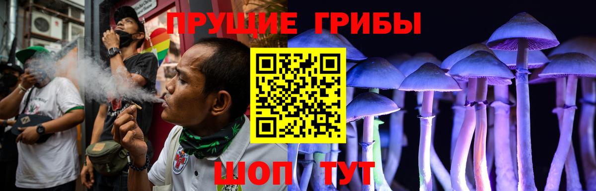 Котовск  Псилоцибиновые грибы мухоморы  Галлюциногенные грибы GOLDEN TEACHER  Вход с VPN 